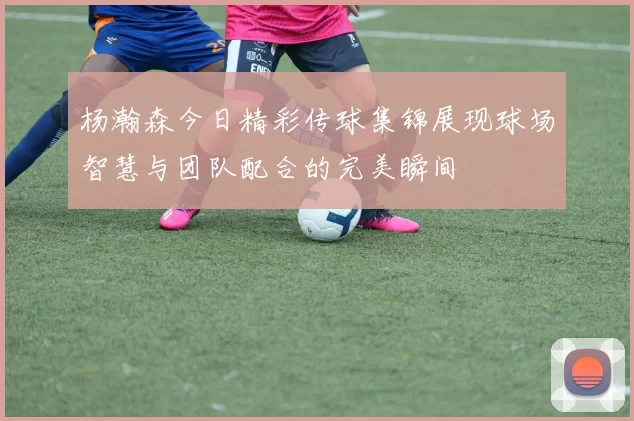 杨瀚森今日精彩传球集锦展现球场智慧与团队配合的完美瞬间